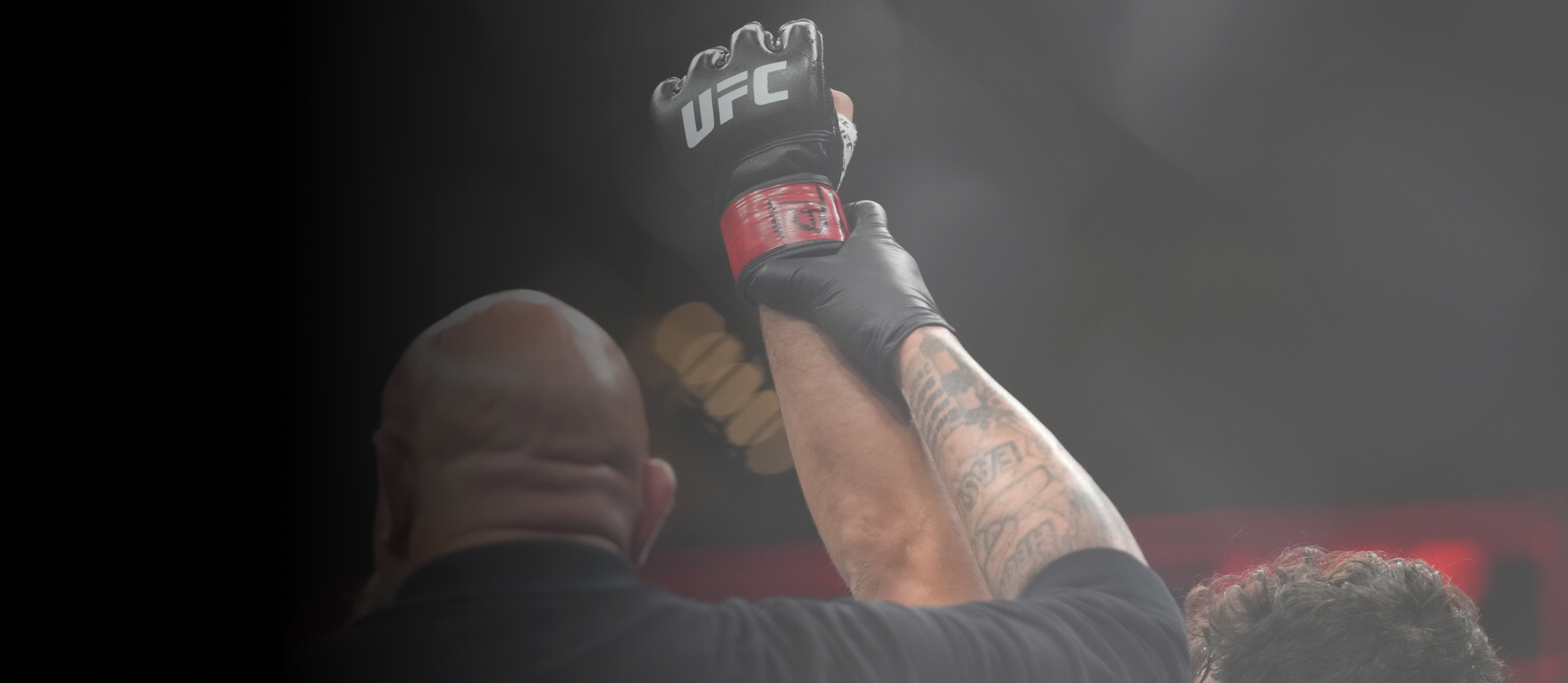 Fight Access FIGHTID